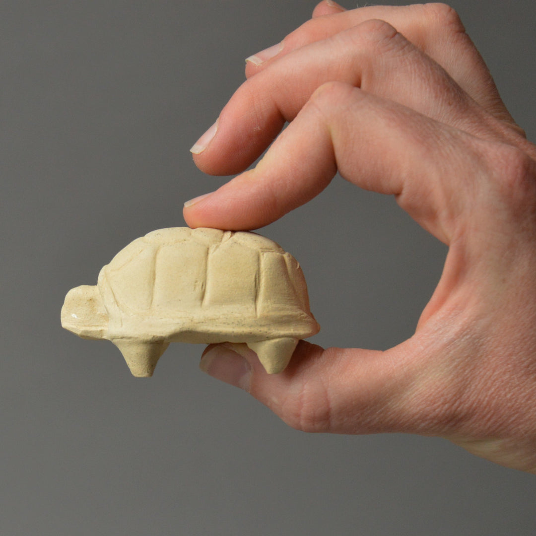 Greek Votive Tortoise