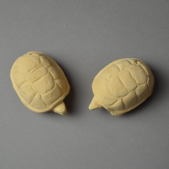 Greek Votive Tortoise