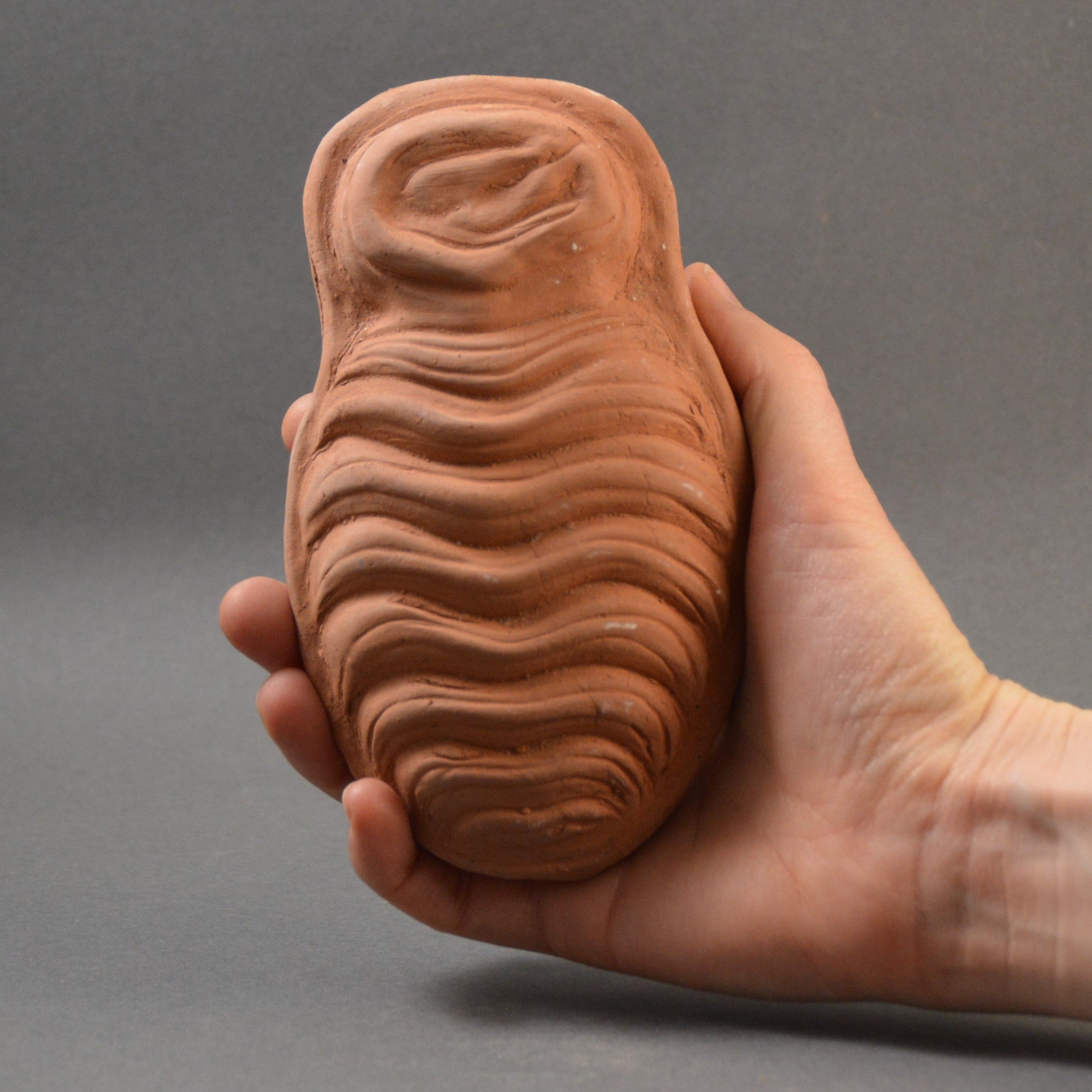 Roman Votive Uterus PottedHistory