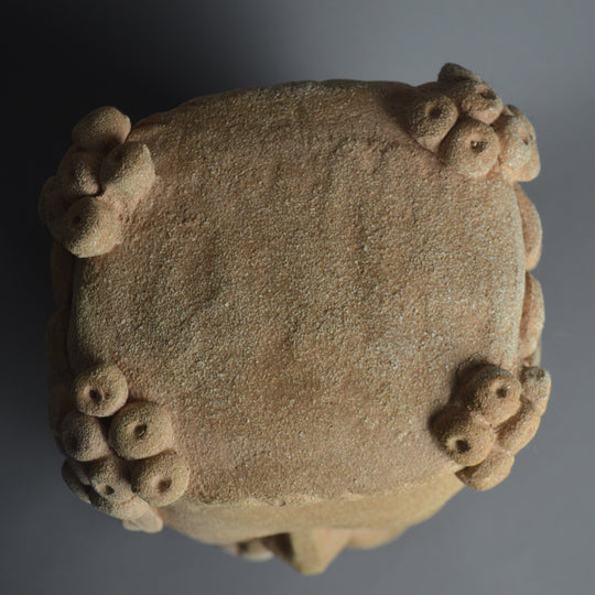 Janus Bust