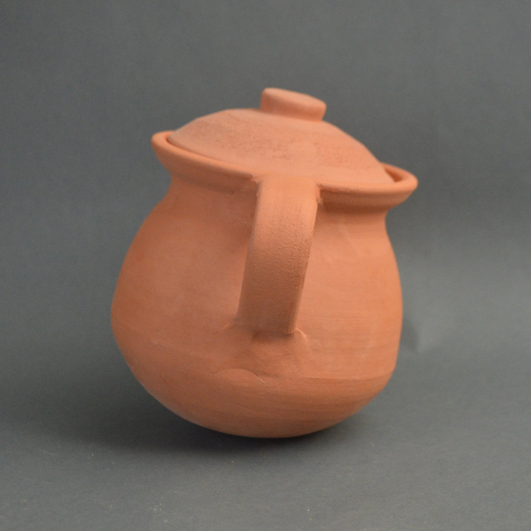 Vindolanda - Pompeian Roman Cooking Pot